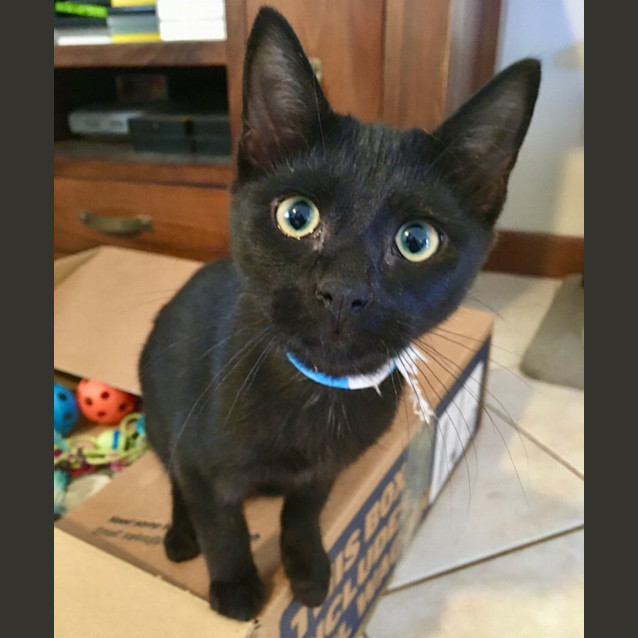 Photo of Nitro, Marlin & Floyd