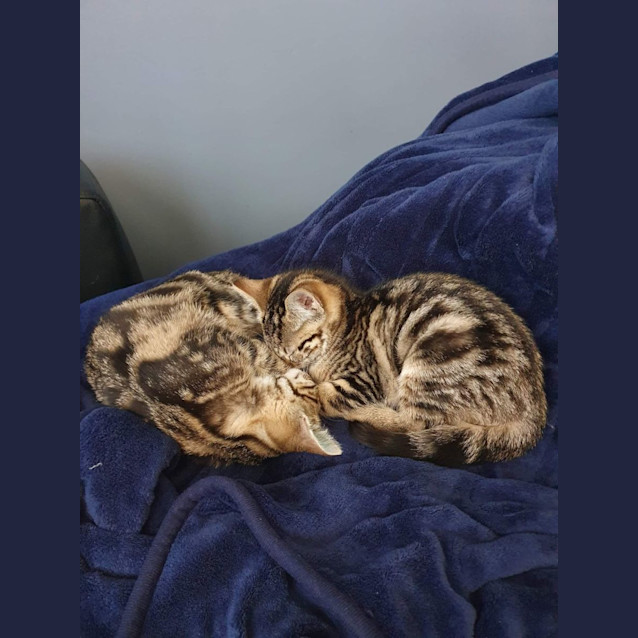 Photo of Mira & Astra