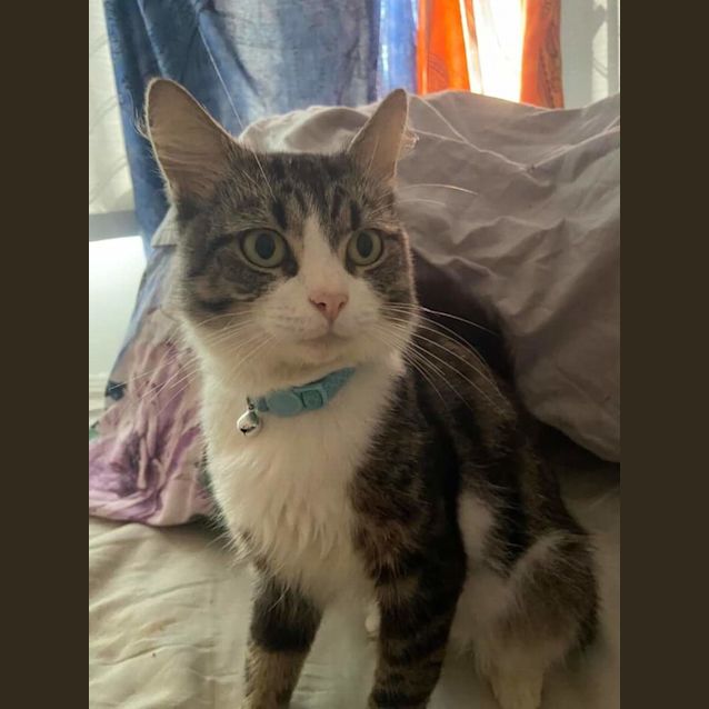 Photo of Finn