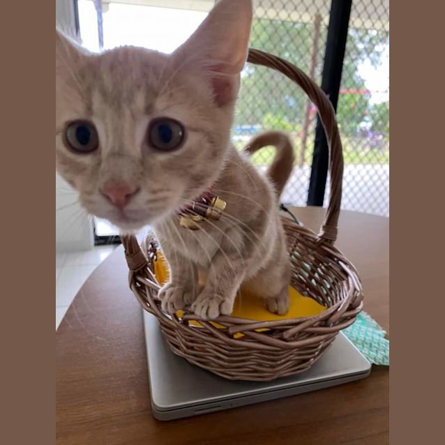 Photo of Rupert