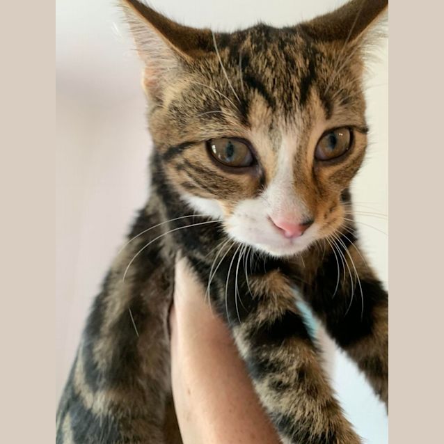 Photo of Johnnie & Sid