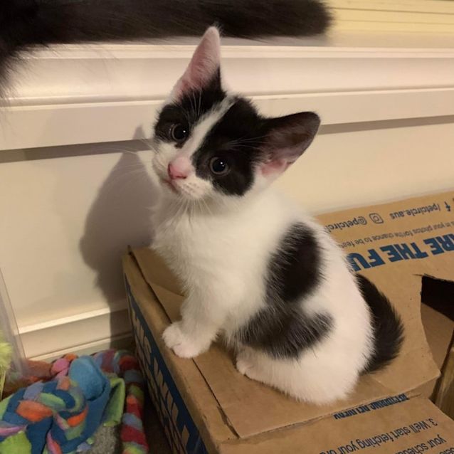 Photo of Mickey