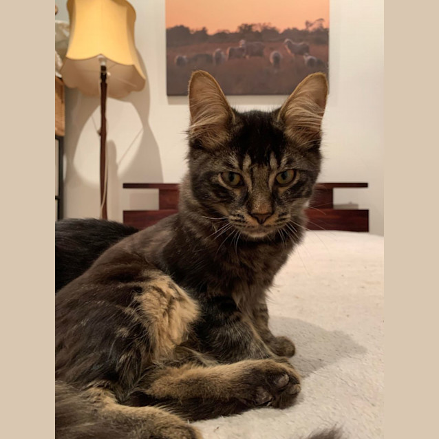 Photo of Logan And Jethro