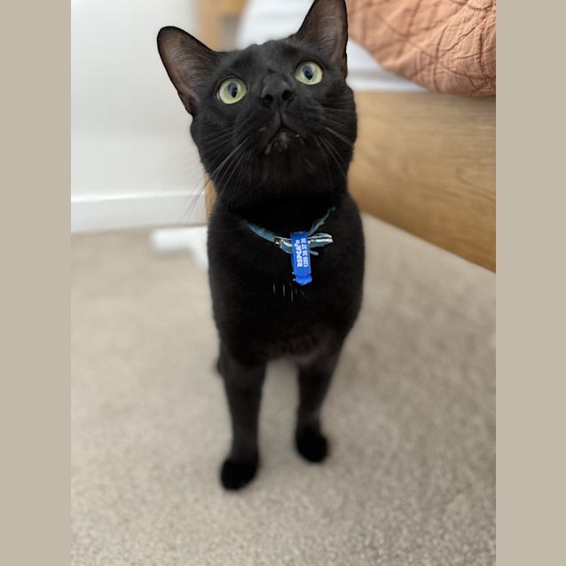 Photo of Marty