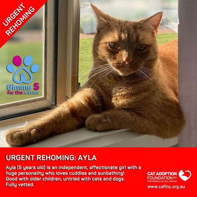 Photo of Ayla
