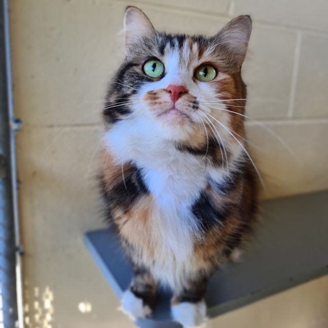 Photo of Leona