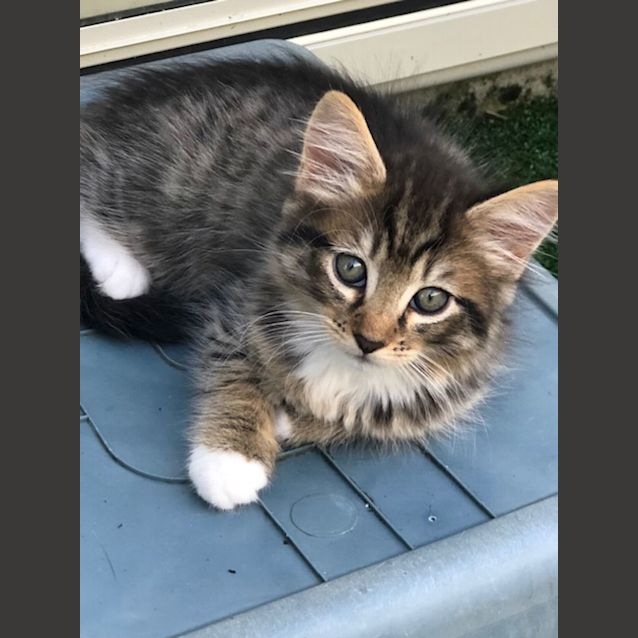 Photo of C1022 Taylor