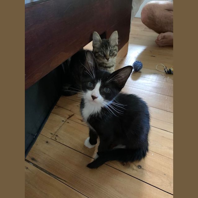 Photo of Timmy And Harvey