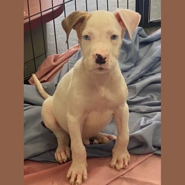 Photo of Storm