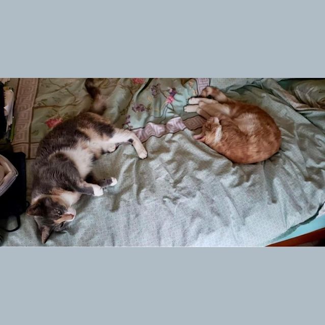 Photo of Rory And Ashlee