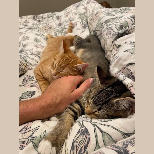 Photo of Bobbi And Billie 💙💙