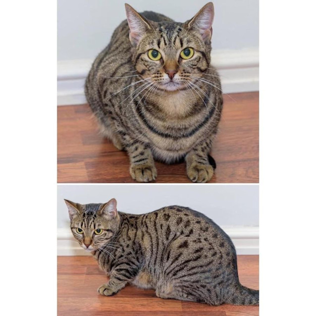 Photo of 3294   Lotti