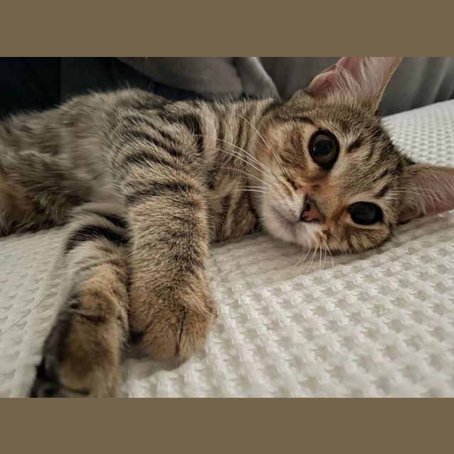 Photo of Miss Mitzy