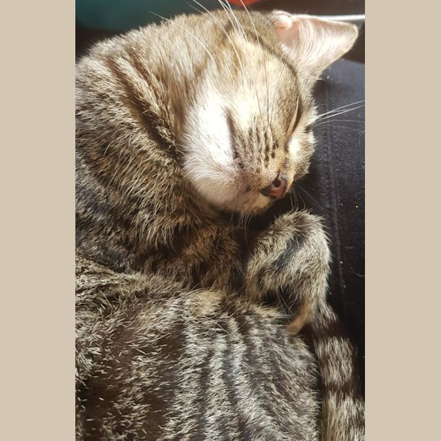 Photo of Dawn   Located In Avondale Heights