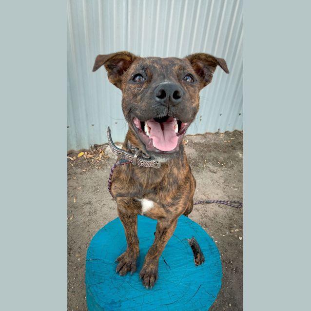 Photo of Monty