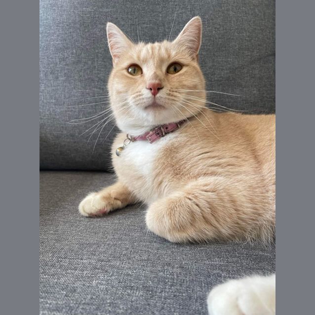 Photo of Millie