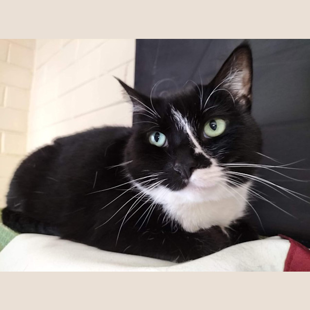 Photo of Hugo And Mae