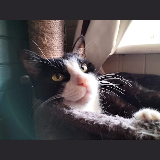 Photo of Hugo And Mae