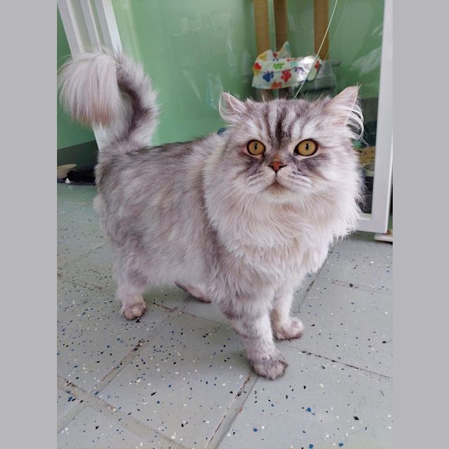 Photo of Leo