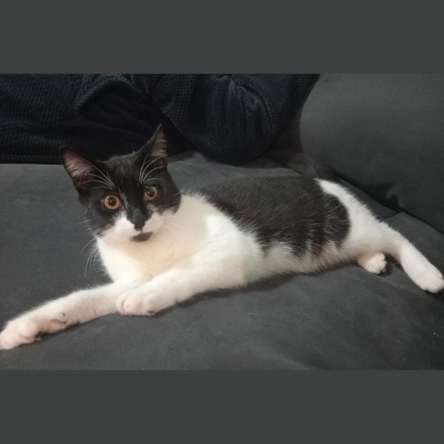 Photo of Marco