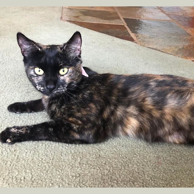 Photo of Princess
