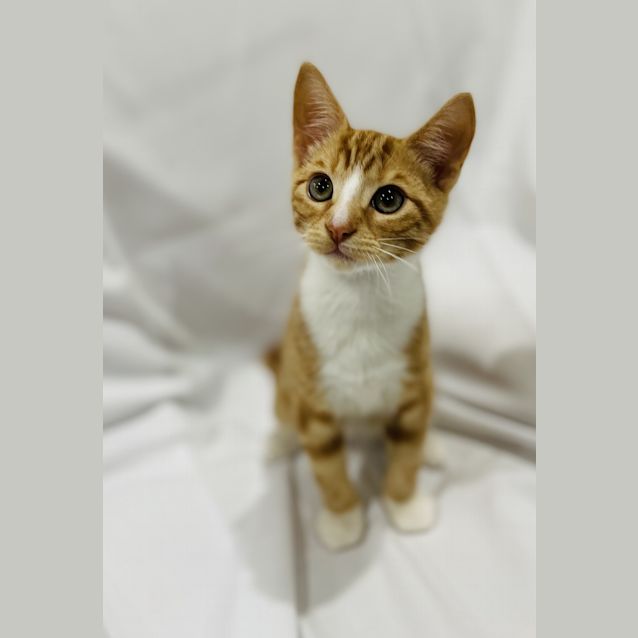 Photo of Oggy/Spencer