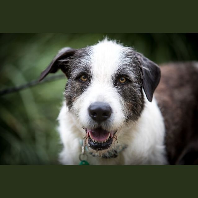 Photo of Luna And Protein