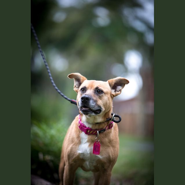 Photo of Luna And Protein