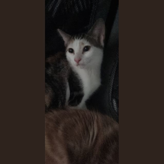 Photo of Mikayla