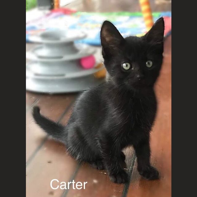 Photo of Carter