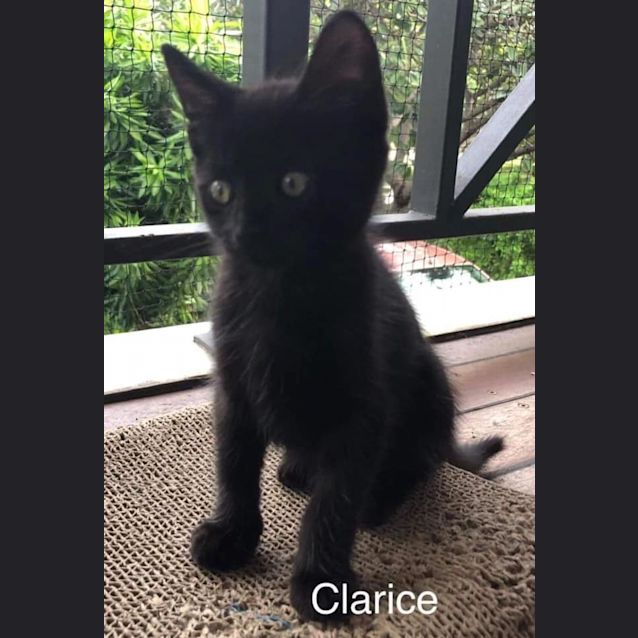 Photo of Clarice