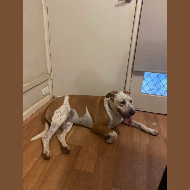 Photo of Frezy (Flick)