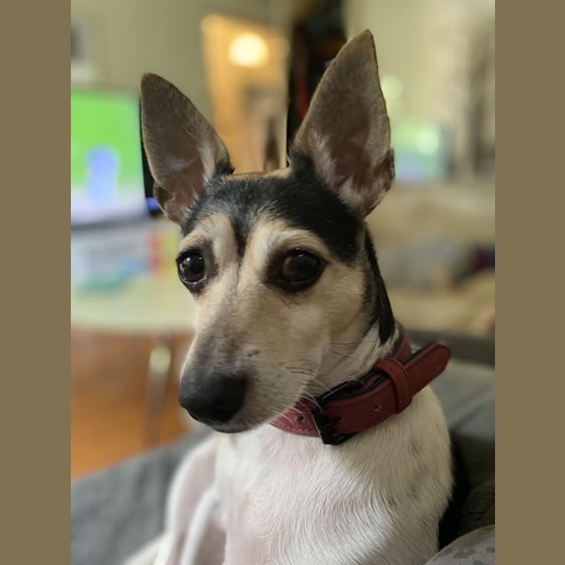 Photo of Riley 