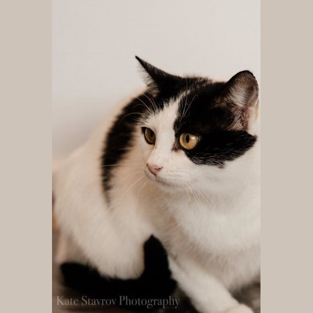 Photo of Tilda Trevaskis 