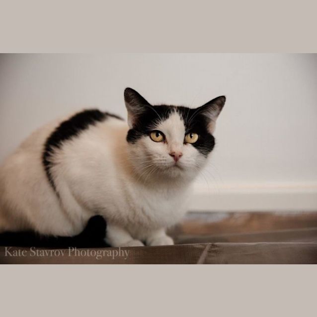 Photo of Tilda Trevaskis 