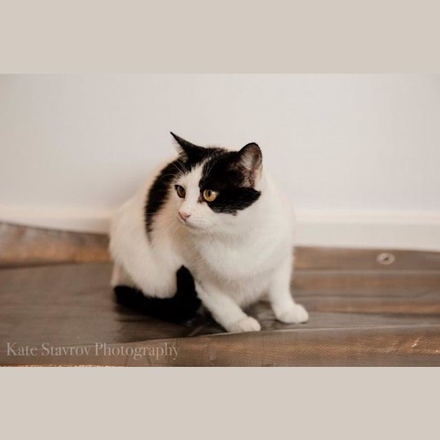 Photo of Tilda Trevaskis 