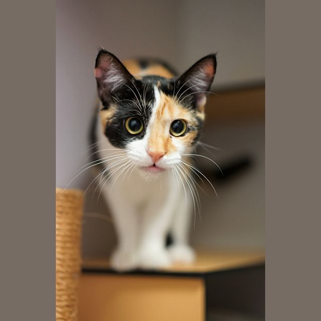 Photo of Jessie