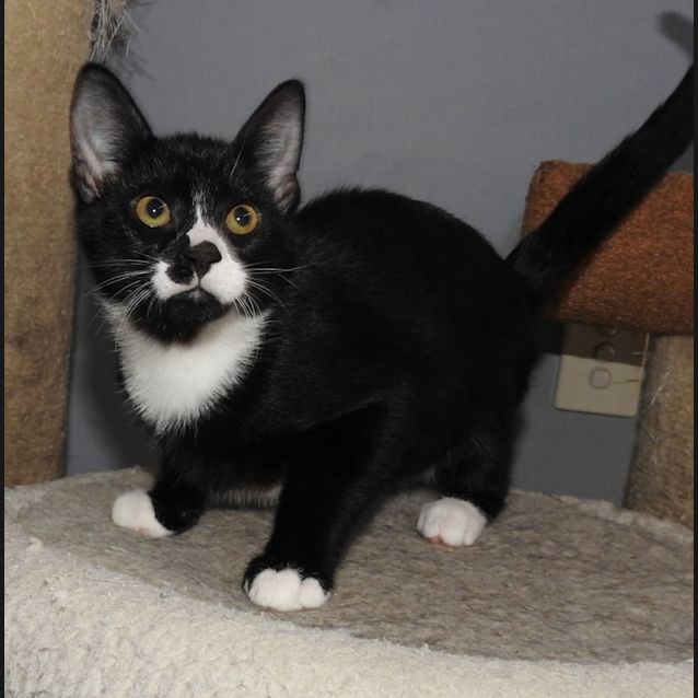 Photo of Bobby Brown (Bb)