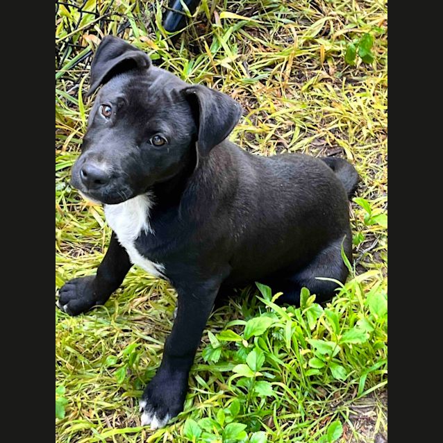 Photo of Max