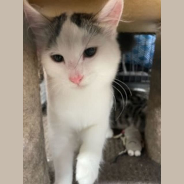 Photo of Jasper 