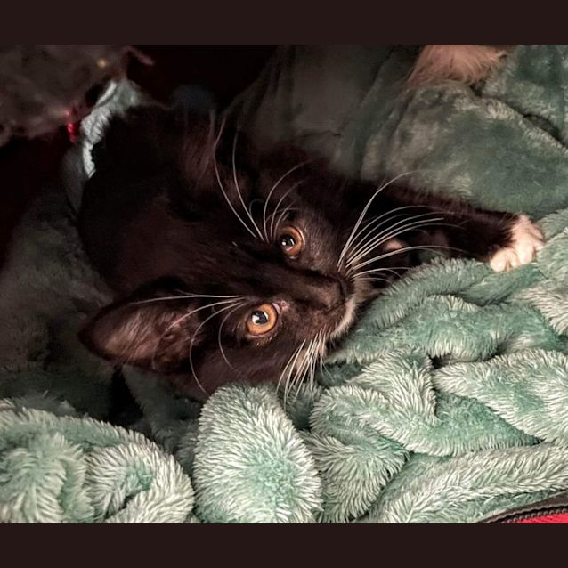 Photo of Boots