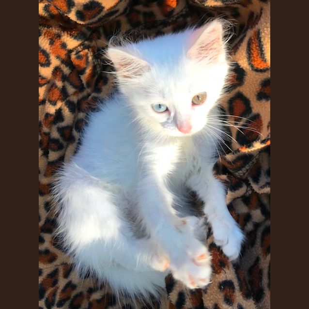 Photo of Sadie 💓💓💓💓