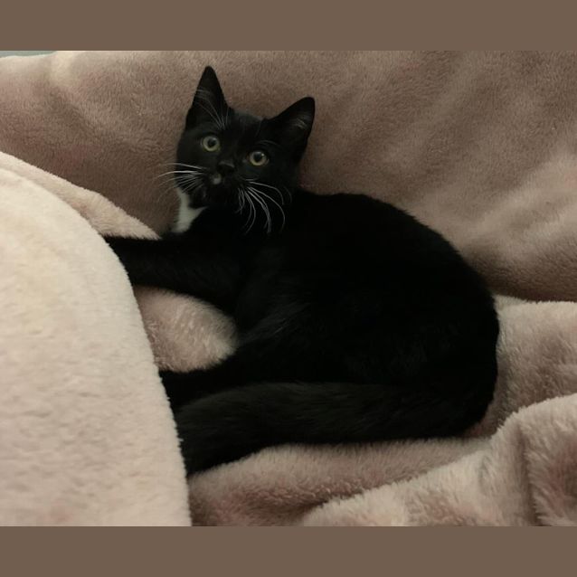 Photo of Tom Tom