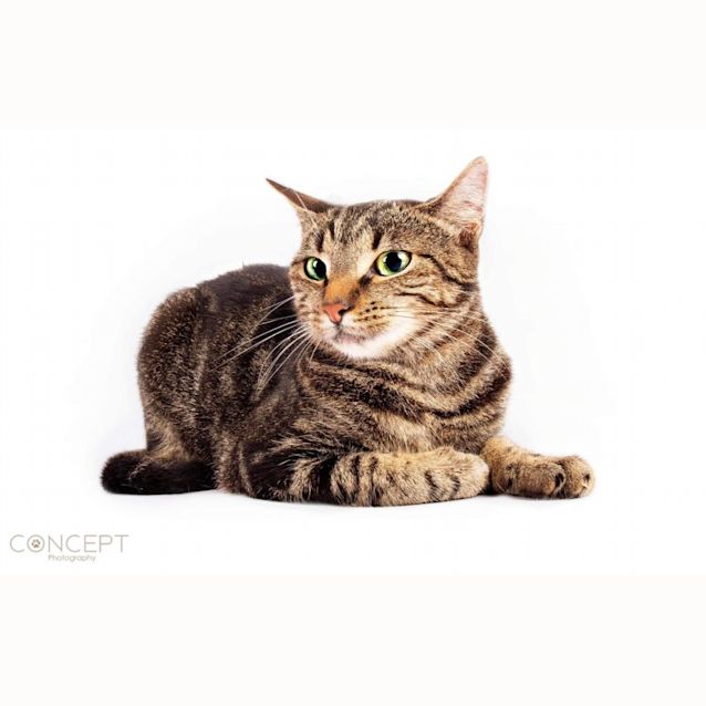 Photo of Waneeta