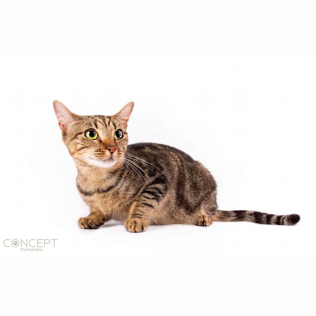Photo of Sachi