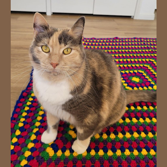 Photo of Penny