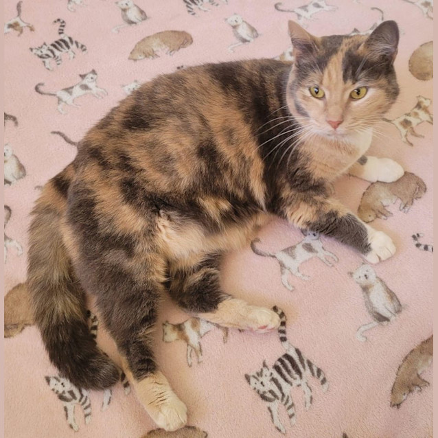 Photo of Penny