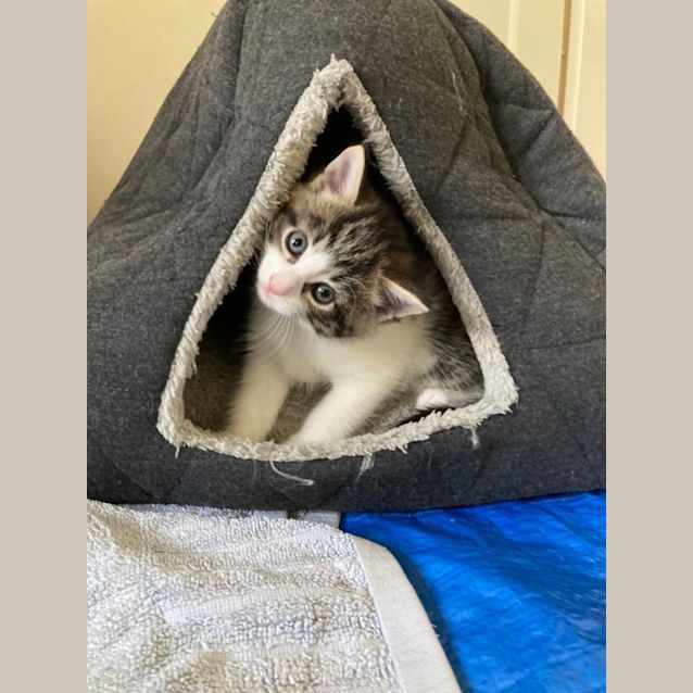 Photo of Mizzle   Located In Eltham