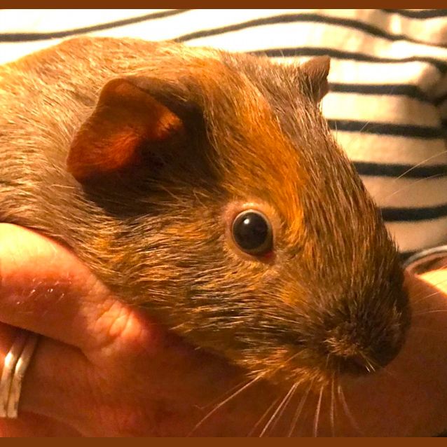 Photo of Fonzie, Richie And Potsie