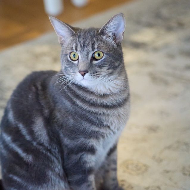 Photo of Marlow